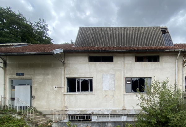 Vente Immobilier Professionnel Local d'activité Forges-les-Bains 91470